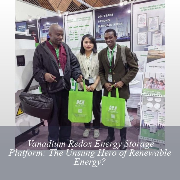 Vanadium Redox Energy Storage Platform: The Unsung Hero of Renewable Energy?